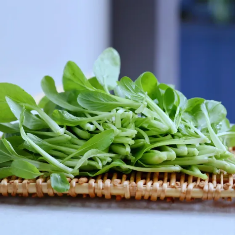 All Year Round Chicken Feather Vegetable Seeds