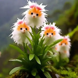 ¡Plantas asombrosas! El ojo de gato deslumbra