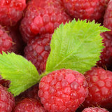 Red Raspberry Seeds