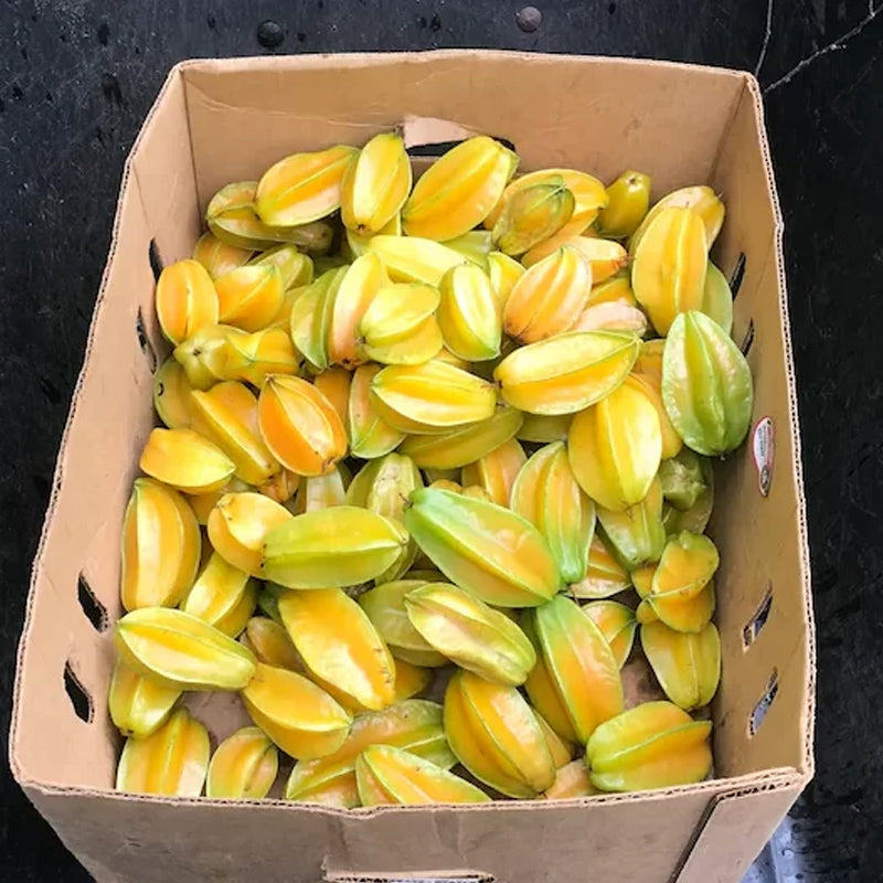Star Fruit Seeds