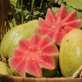 Strawberry Guava Seeds
