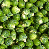 Brussels Sprout Seeds - Rare Heirloom Brussel Sprout Seeds