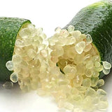 Semillas de lima dedo Planta perenne de hoja perenne, sin OGM, que se extiende y requiere poco mantenimiento para cocinar en el jardín Semillas de frutas