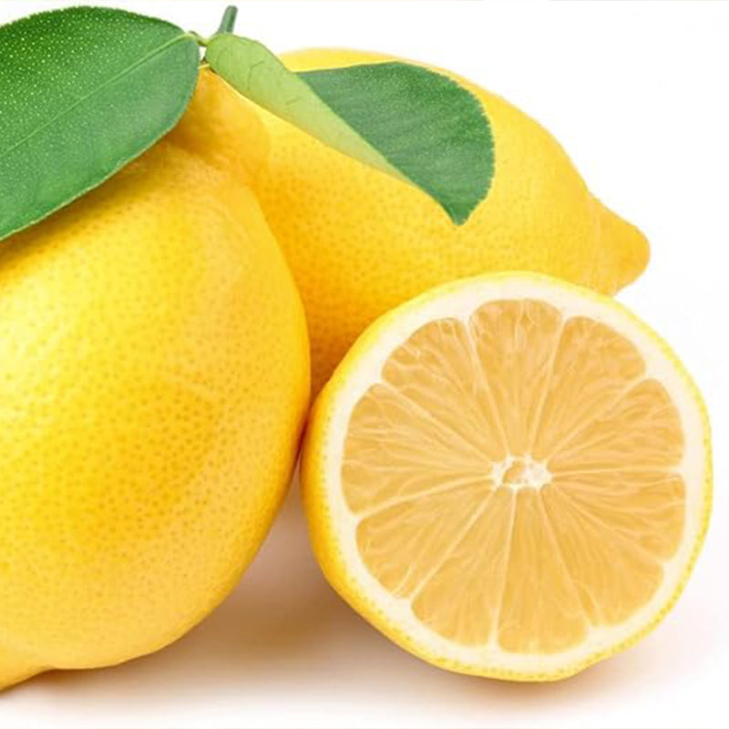 Lemon Seeds for Planting Organic High Survival Rate Lemon Tree Seeds Planting for Home Garden