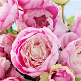 Colorful Peony Flower