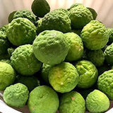 Garantía de floración y fructificación del árbol de lima kaffir