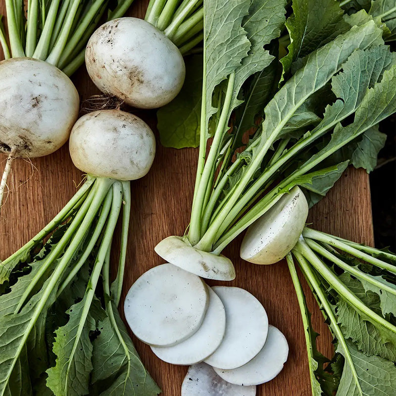 Turnip, Silky Sweet Hybrid