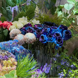 Rosas del cielo estrellado