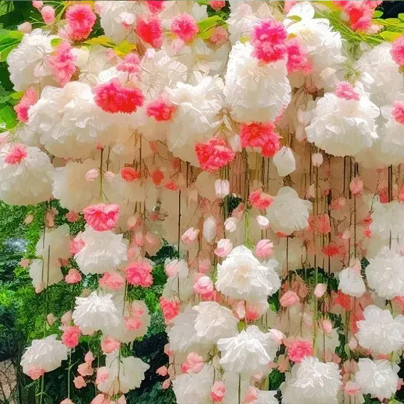 Semillas de flores de begonia