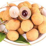 Semillas de fruta exótica rara de Longan enano Sri Chompoo, también conocido como Ojo de dragón