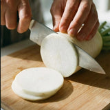 Giant Japanese Daikon Radish Seeds