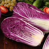 Organic Purple Cabbage Seeds