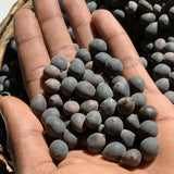 Rare Rainbow Lotus Seeds  Bowl Water Lily Hydroponic Plants Fast Growing