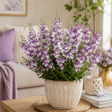 Bicolor Lavender & White Summer Snapdragon (Angelonia angustifolia) Seeds