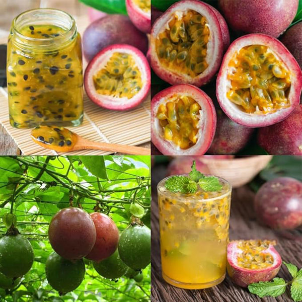 Tropical Passion Fruit Seeds for Planting Outdoors-Non GMO Passiflora Seeds for Bonsai Backyard Country