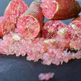 Semillas de lima dedo Citrus Australasica Caviar de lima utilizada como complemento para ensaladas Jardín Exterior