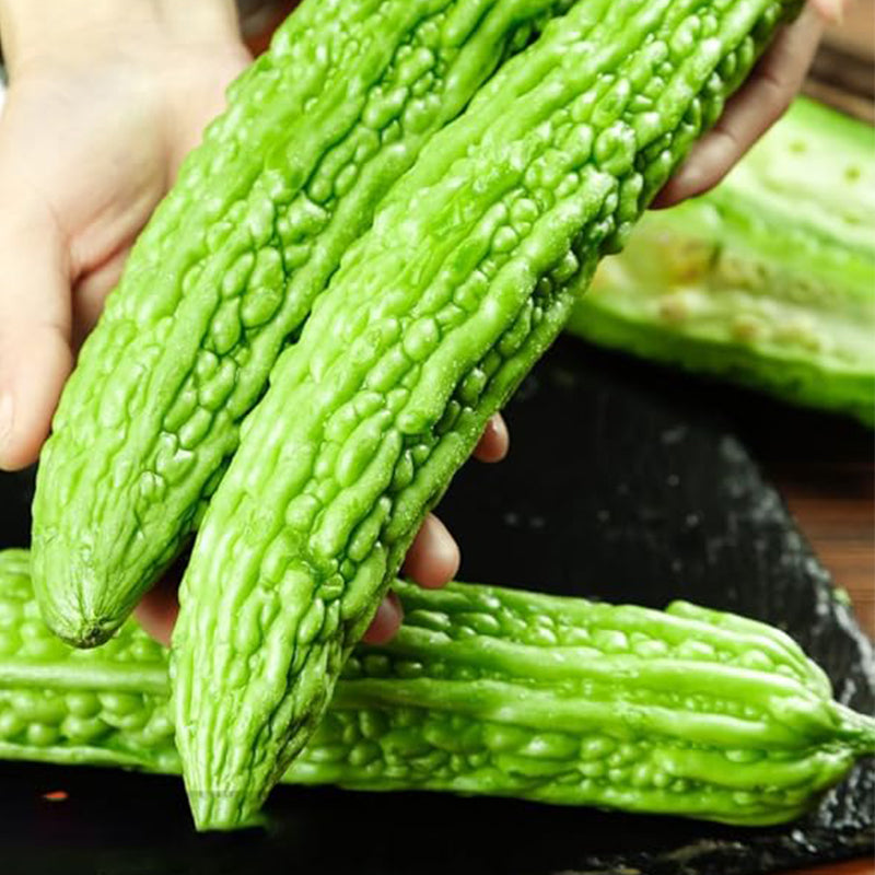 Semillas de melón amargo para plantar, semillas de calabaza amarga asiática, semillas de verduras asiáticas