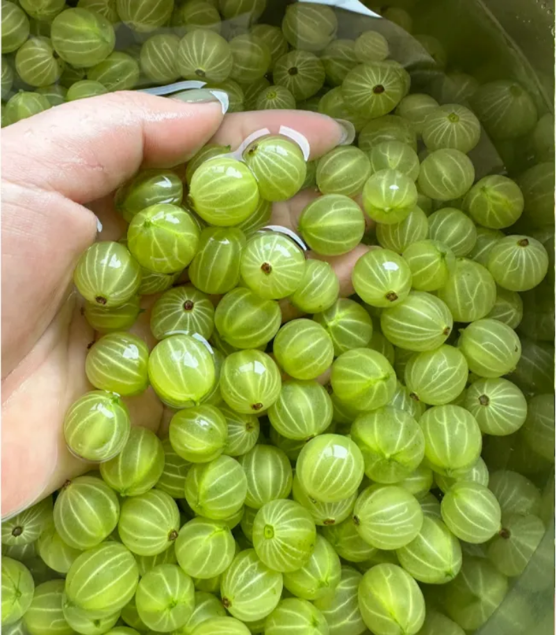 Rainbow Color Cape Gooseberry Seeds