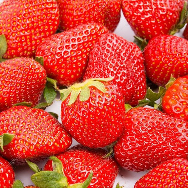 Giant Strawberry Fresca Everbearing Berries Indoor Non GMO Fruit Seeds