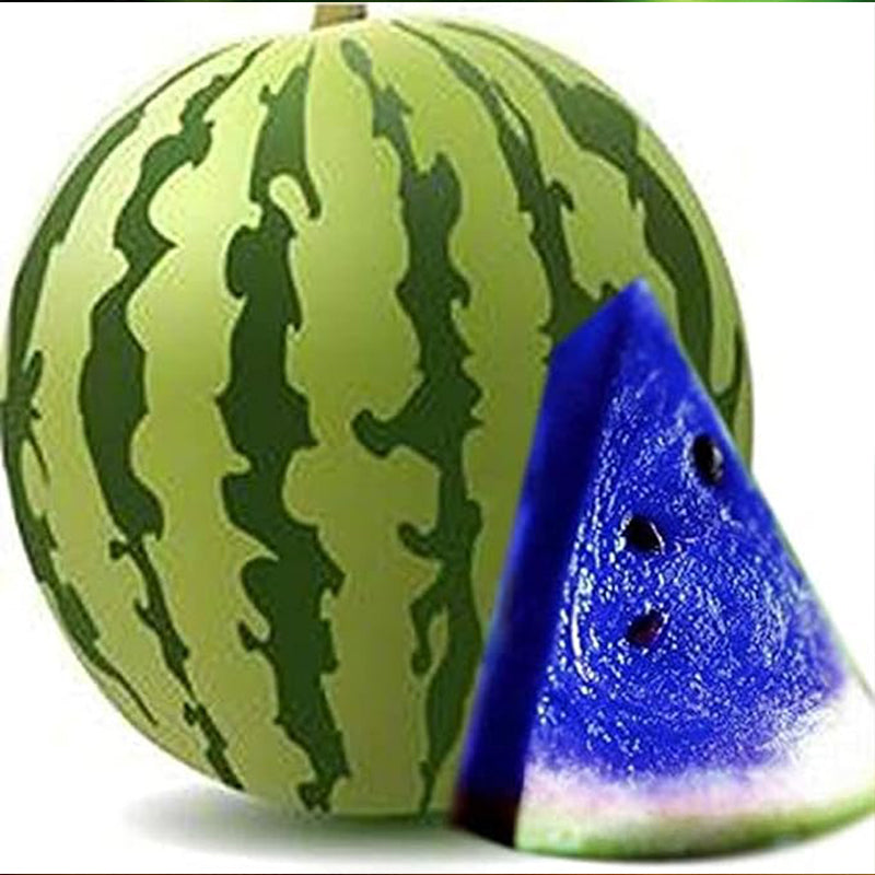 Blue Raspberry Watermelons Rare Blue Watermelon Fruit Seed Sweet Juicy High Germination Rate ...