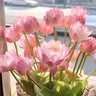 The Sacred Bonsai Lotus Flower