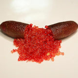 Semillas de lima dedo Planta perenne de hoja perenne, sin OGM, que se extiende y requiere poco mantenimiento para cocinar en el jardín Semillas de frutas