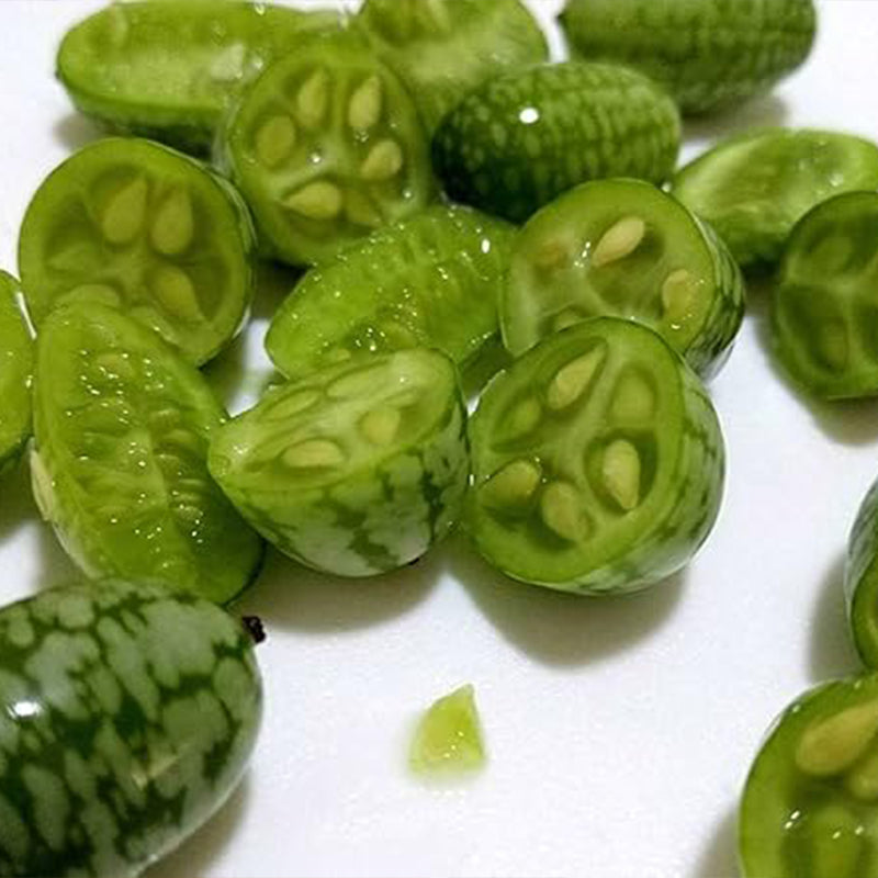 Mini Thumb Watermelon Fruit Vegetables Seeds