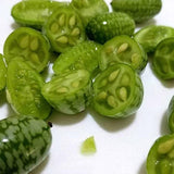 Mini Thumb Watermelon Fruit Vegetables Seeds