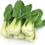 Semillas de Bok Choy para plantar - Cải Thìa - AKA. Pak Choi, repollo chino, Bok Choi