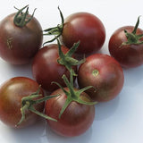 Tomate Cherry Negro Vegetal Para Plantar Sin OGM
