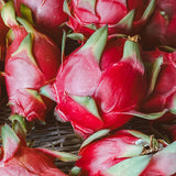 Semillas de fruta del dragón, Hylocereus triangularis: deliciosa fruta y fragantes flores que florecen de noche