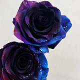 Rosas del cielo estrellado