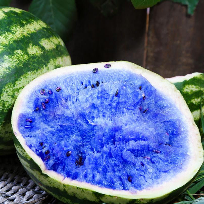 Blue Raspberry Watermelons Rare Blue Watermelon Fruit Seed Sweet Juicy High Germination Rate ...