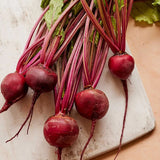 Remolacha, Detroit Rojo Oscuro Medio Superior