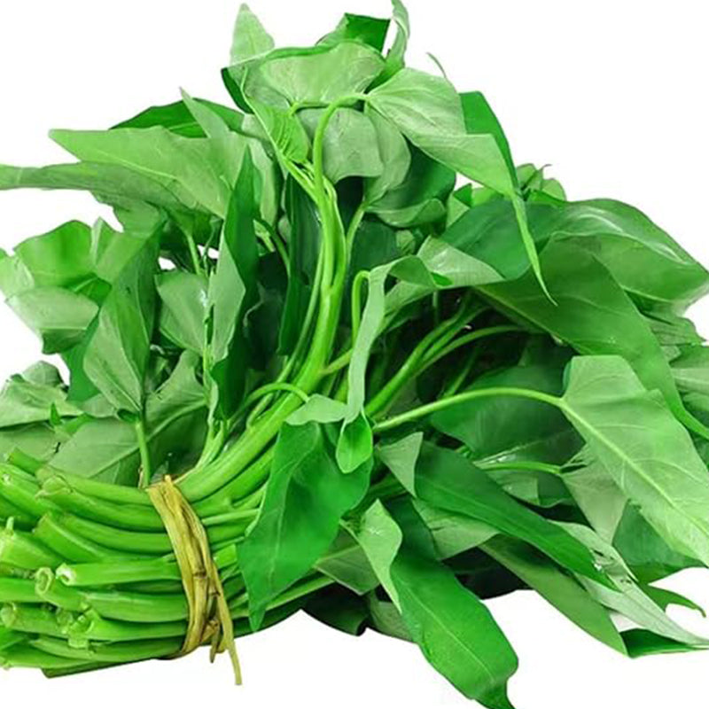 Semillas de hortalizas Kong Xin CAI Espinaca de agua Kangkong Deliciosas semillas de hortalizas para plantar hojas verdes en el jardín Semillas de Choy Ong sin OGM