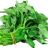 Semillas de hortalizas Kong Xin CAI Espinaca de agua Kangkong Deliciosas semillas de hortalizas para plantar hojas verdes en el jardín Semillas de Choy Ong sin OGM