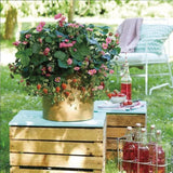 Berried Treasure Pink Strawberry