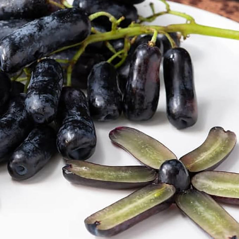 Black Finger Grape Seed Sweet Fruit Attract Butterflies and Bees