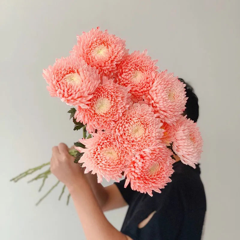 Semillas raras de crisantemo peonía rosa de porcelana azul y blanca