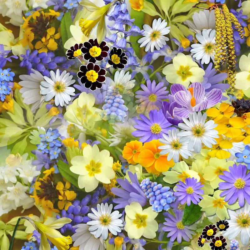 Semillas de flores múltiples