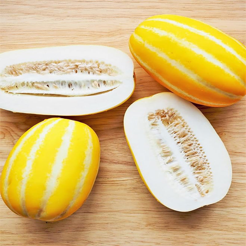Semillas de melón coreano Chamoe Amarillo Blanco Melón oriental japonés Ginkaku Makuwa Fruta asiática de jardín