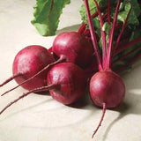 Beet Seeds