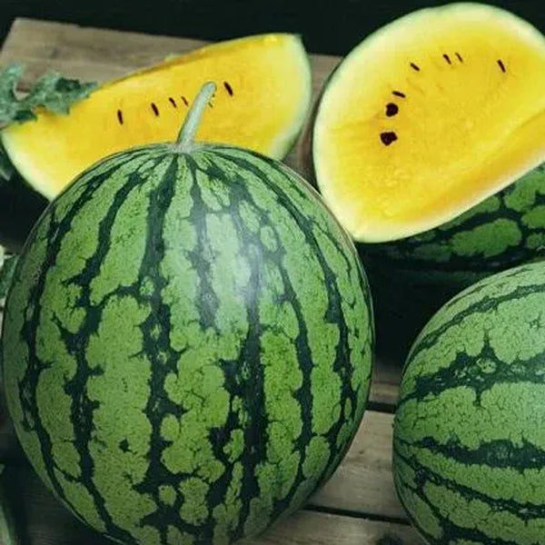 Watermelon Seeds - Yellow Petite