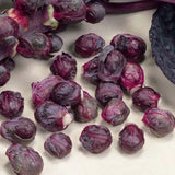 Brussels Sprouts Redarling F1