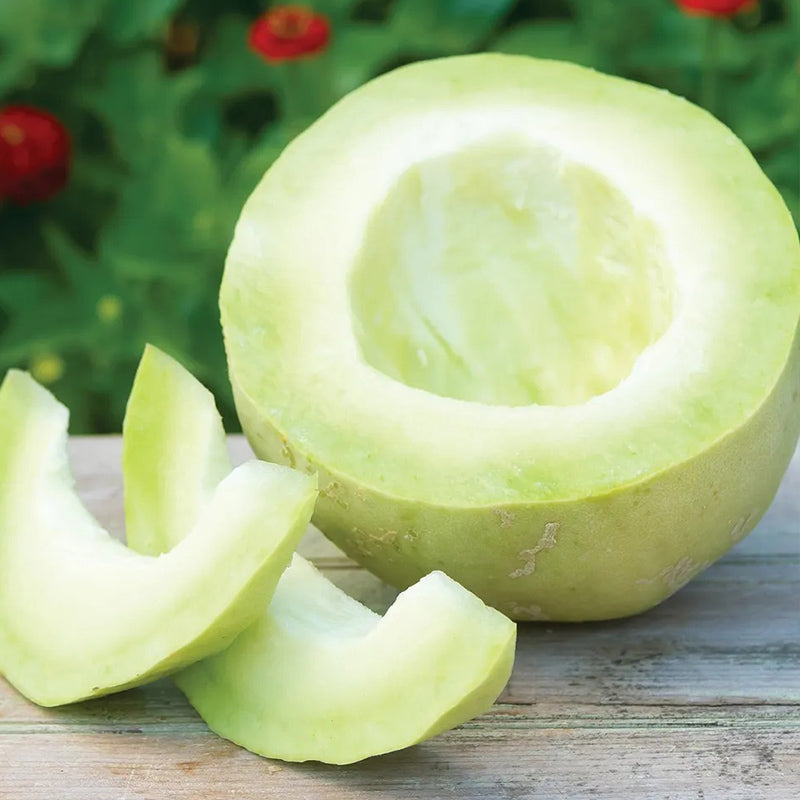 Melón, híbrido delicioso