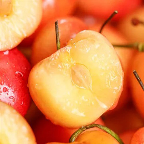 Semillas de cereza dorada