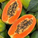 Semillas de papaya cremosa Red Heart: lo mejor de las papayas para su huerto casero: frutas ricas, dulces y llenas de nutrientes