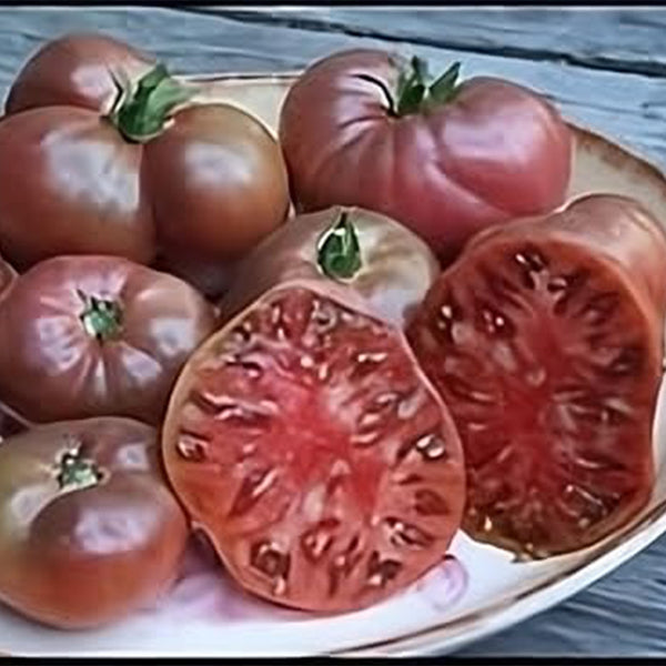 Tomato Cherokee Purple Great Garden Vegetable Seeds