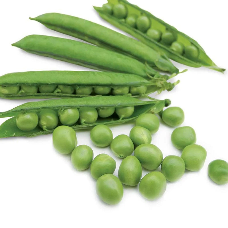 Pea Karina Organic