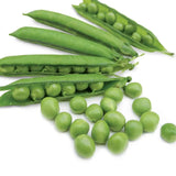 Pea Karina Organic